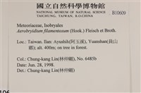 毛扭蘚藏品圖，第2張