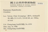 登錄號:B00010656藏品圖，第2張
