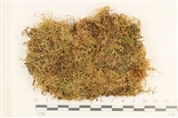 登錄號:B00010665藏品圖，第1張