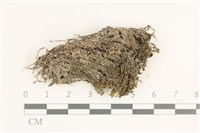 登錄號:B00010682藏品圖，第1張