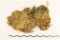 登錄號:B00010748藏品圖，第1張