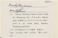 登錄號:B00010774藏品圖，第2張