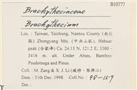 登錄號:B00010777藏品圖，第2張