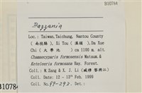 登錄號:B00010784藏品圖，第2張