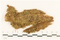 登錄號:B00010792藏品圖，第1張