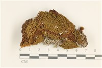 登錄號:B00010797藏品圖，第1張