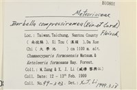 登錄號:B00010801藏品圖，第2張