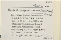 登錄號:B00010802藏品圖，第2張