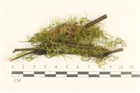 登錄號:B00010802藏品圖，第1張