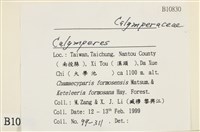 登錄號:B00010830藏品圖，第2張