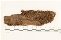 登錄號:B00010830藏品圖，第1張