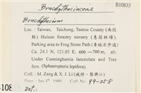 登錄號:B00010833藏品圖，第2張