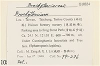 登錄號:B00010834藏品圖，第2張