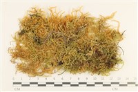 登錄號:B00010834藏品圖，第1張