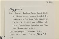 登錄號:B00010855藏品圖，第2張