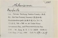 登錄號:B00010867藏品圖，第2張