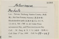 登錄號:B00010868藏品圖，第2張