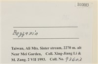 登錄號:B00010883藏品圖，第2張