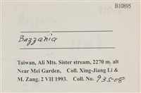 登錄號:B00010895藏品圖，第2張