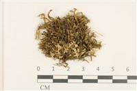 登錄號:B00010906藏品圖，第1張