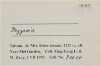 登錄號:B00010921藏品圖，第2張