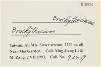 登錄號:B00010924藏品圖，第2張