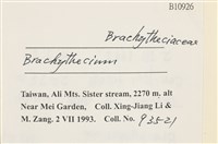 登錄號:B00010926藏品圖，第2張