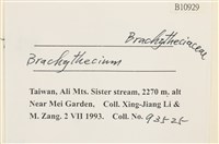 登錄號:B00010929藏品圖，第2張