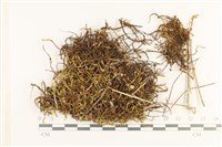 登錄號:B00010953藏品圖，第1張