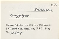 登錄號:B00010958藏品圖，第2張