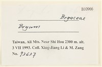 登錄號:B00010966藏品圖，第2張