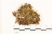 登錄號:B00010966藏品圖，第1張