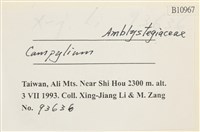 登錄號:B00010967藏品圖，第2張