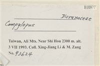 登錄號:B00010977藏品圖，第2張