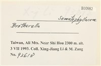 登錄號:B00010982藏品圖，第2張