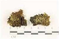 登錄號:B00010984藏品圖，第1張
