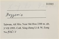 登錄號:B00010985藏品圖，第2張