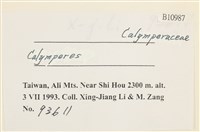 登錄號:B00010987藏品圖，第2張