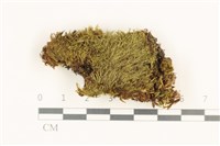 登錄號:B00010989藏品圖，第1張