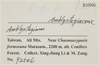 登錄號:B00010996藏品圖，第2張