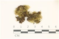 登錄號:B00010996藏品圖，第1張