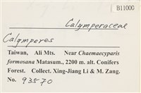 登錄號:B00011000藏品圖，第2張