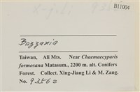 登錄號:B00011004藏品圖，第2張