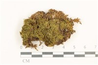 登錄號:B00011007藏品圖，第1張