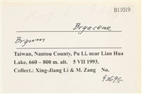 登錄號:B00011019藏品圖，第2張