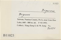 登錄號:B00011023藏品圖，第2張