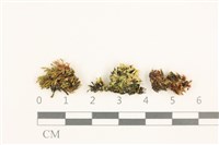 登錄號:B00011024藏品圖，第1張