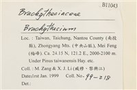 登錄號:B00011043藏品圖，第2張