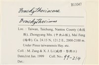 登錄號:B00011047藏品圖，第2張