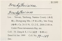 登錄號:B00011049藏品圖，第2張